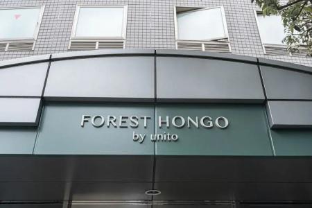 Forest Hongo - 17