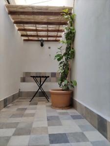 b&b Cala Peppa - 14