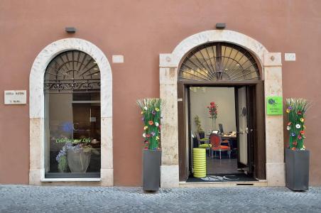 Navona Colors - 0