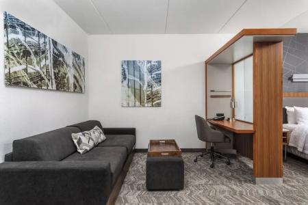 SpringHill Suites by Marriott Downtown/Cameron Harbor - 24