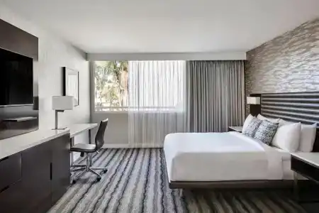 Ventura Beach Marriott - 50