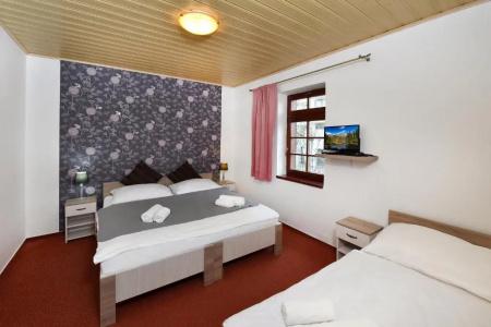 Pension Villa Kunerad - 12