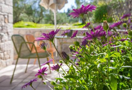 Anthemion Suites and Villas - 170
