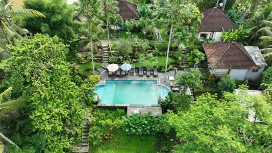 Capung Mas - 57