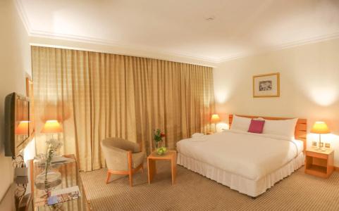 Swiss-Belinn - 3