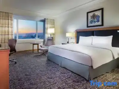 Adana Hiltonsa - 47