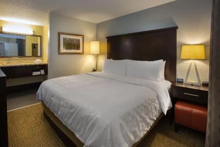 Sonesta Es Suites Lake Buena Vista - 55