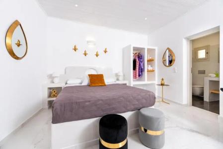 Petri Suites - 118
