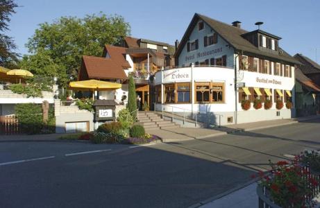 Der Ochsen - 37