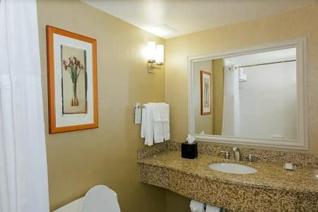 Hilton Garden Inn/Coastal Grand Mall - 64