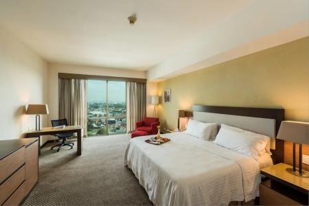 Holiday Inn Guadalajara Select, An Ihg - 75