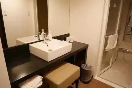 Sotetsu Fresa Inn Yokohama Sakuragi-cho - 15