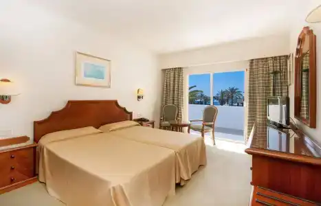 Relaxia Olivina - 6