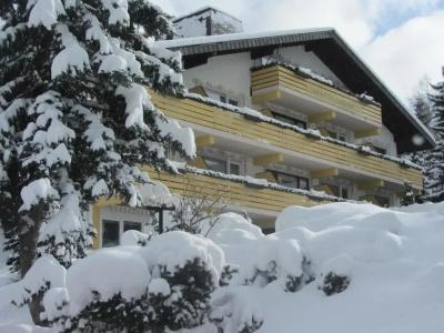 FerienSchwarzwälder Hof - 20