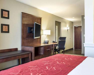 Comfort Suites Medical Center - 3