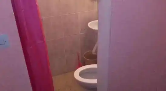 Guest House Dragomir - 13