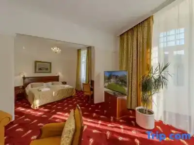 Ensana Thermia Palace - 61