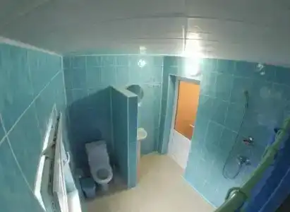 Каштан - 8
