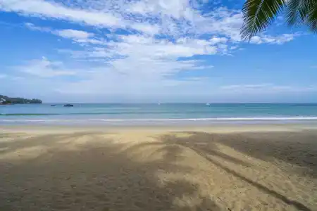 Sunwing Kamala Beach - Sha Plus - 29