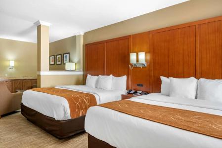 Comfort Suites - University - 4
