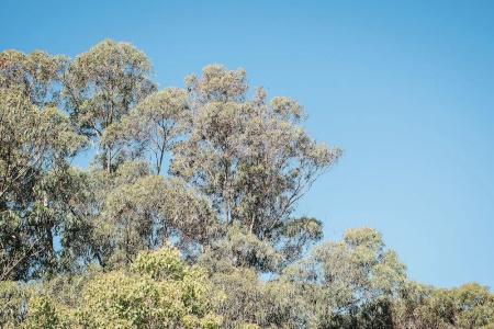 Quality Suites Banksia Gardens- Apartment - 191