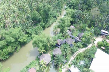 Tamsabai - 15