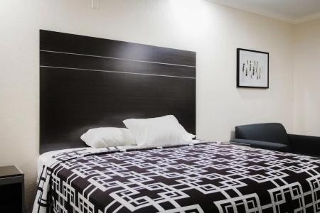 Palace Inn Tx-249 - 5
