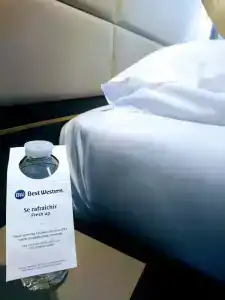 Best Western Hôtel Journel Saint-Laurent-du-Var - Nice Aéroport - 65