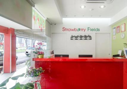 Strawberry Fields - 20