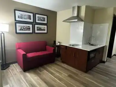 Microtel Inn & Suites by Wyndham College Station - 77