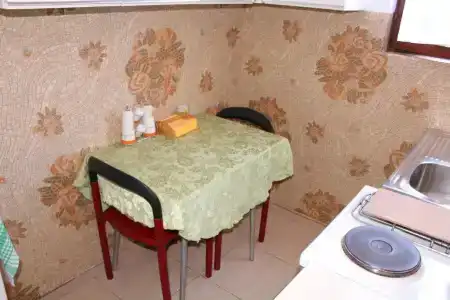 Guest House Tomanovic - 23