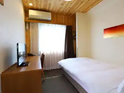 Tennen Onsen Taho-no-Yu Dormy Inn Niigata - 6