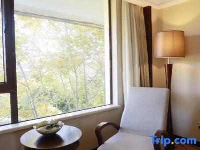 Conifer Lishui Sunlight - 12