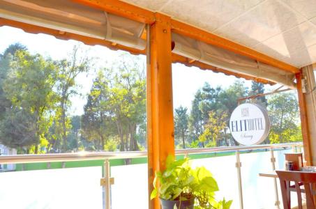 Elit Saray - 16