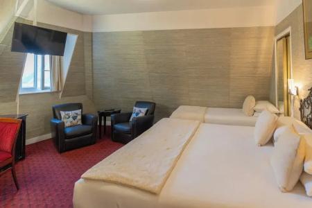 Hôtel Delavigne - 69