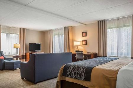 Comfort Inn The Pointe - 49