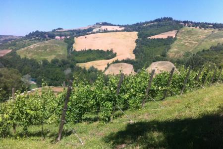 Agriturismo Ben Ti Voglio - 16