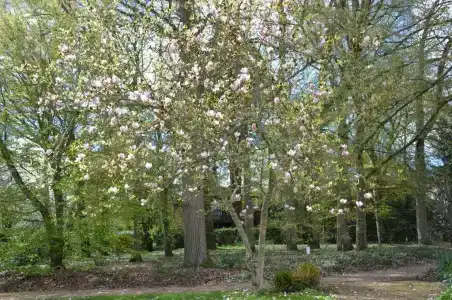 Manoir Du Parc (Adults only) - 104