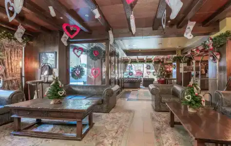 Ski Plaza & Wellness - 9