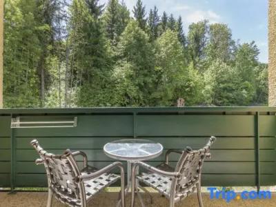 Alpine Club By Diamond Resorts - 45