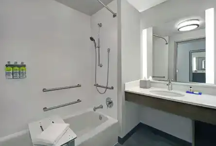 Holiday Inn Express - Houston - Galleria Area, An Ihg - 65