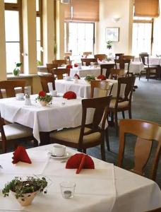 Goldener Hirsch - 11