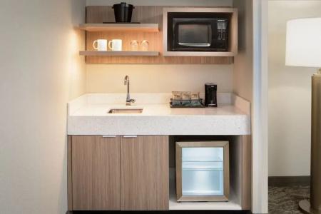 SpringHill Suites by Marriott Dallas Downtown / West End - 44