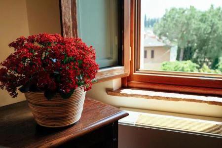 Santa Caterina - 52