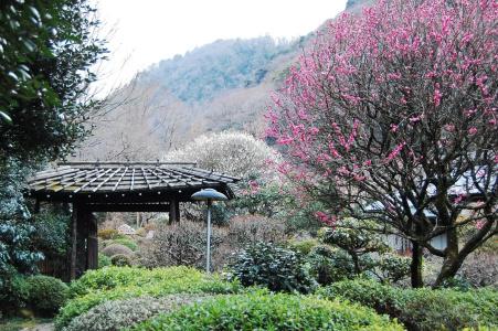Yoshiike Ryokan - 33
