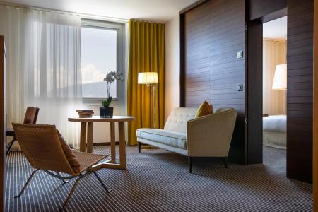 Intercontinental Geneva, An Ihg - 79