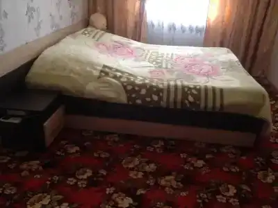 Георгина - 14