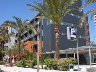 El Palmeral - 27