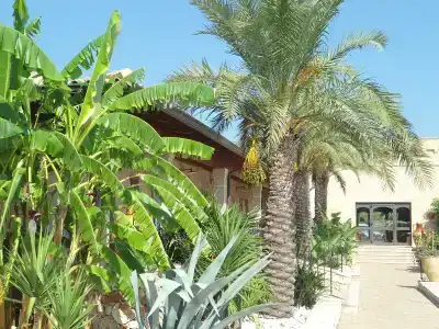 Masseria Le Pajare - 19