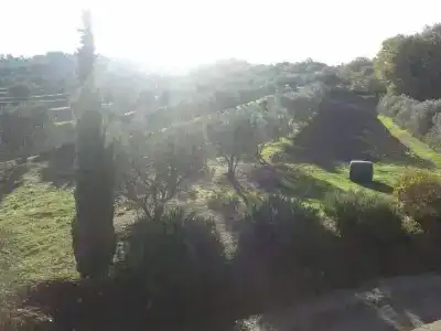 Agriturismo Barbi - 5